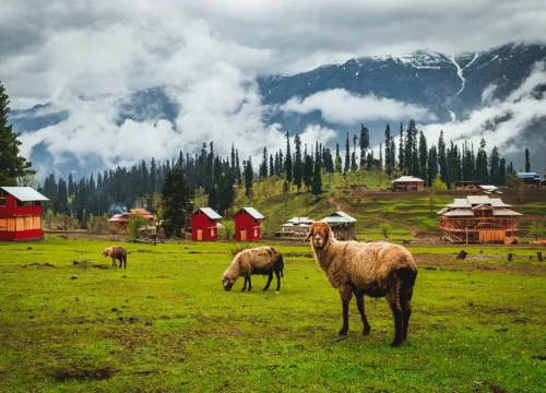 3 Days Group Tour to Kashmir, Kutton & Arang Kel