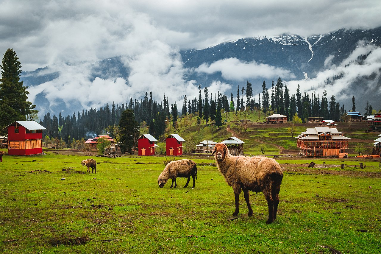 Kashmir